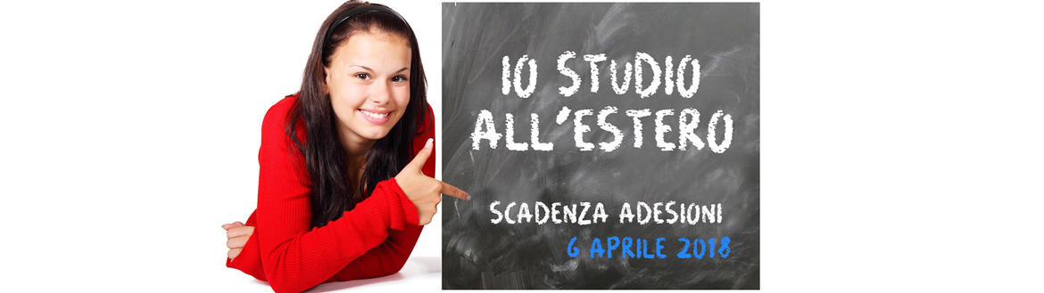 Immagine alt: